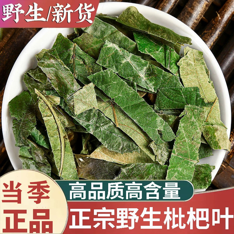 正品野生枇杷叶中药材500g正宗精选枇杷叶干货生枇杷叶枇杷叶泡茶