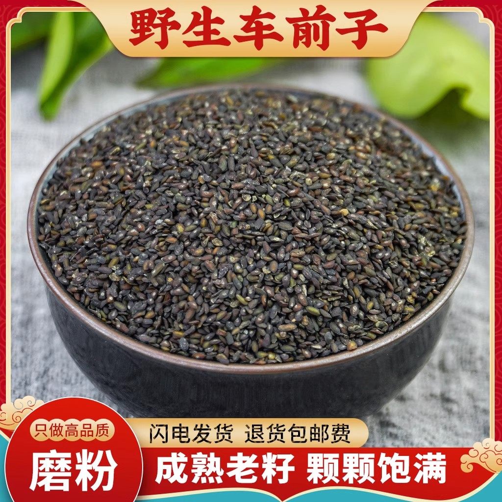 车前子中药材500g正品车前子籽泡水车前子茶车前子草籽洋车前子粉