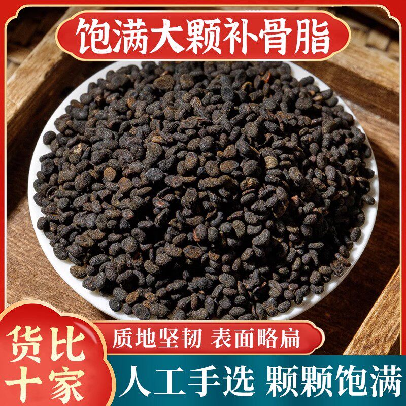 精选补骨脂中药材500g正品胡韭子野生新货破故纸黑故子另售菟丝子