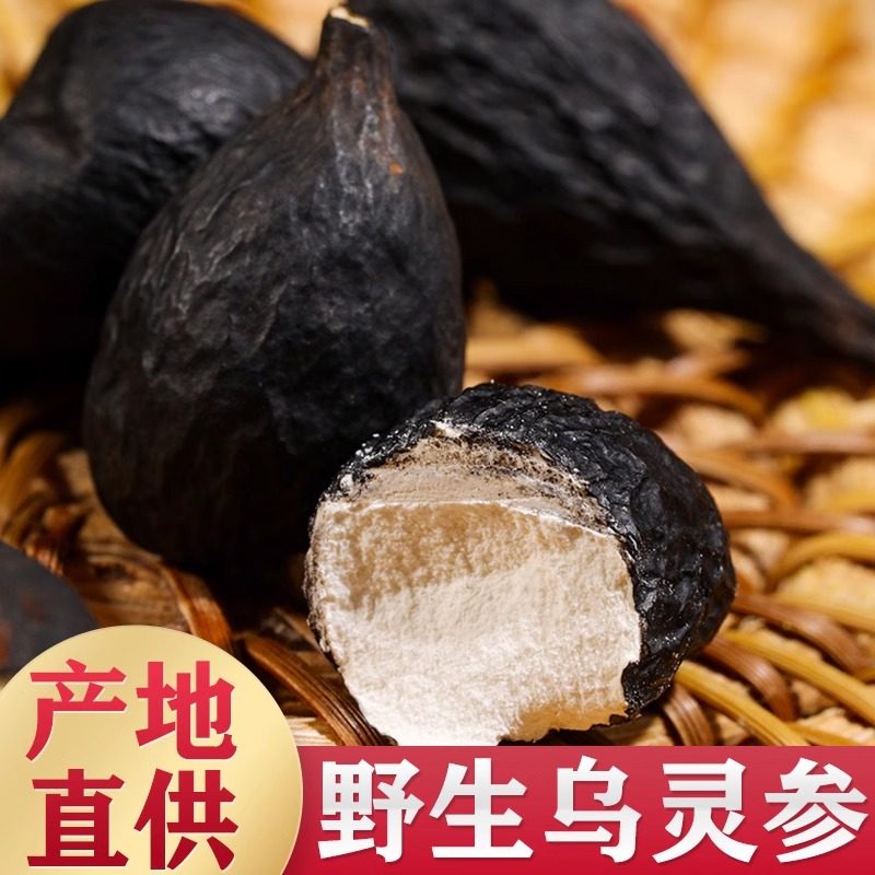 正品云南乌灵参中药材新鲜干货乌灵参精品鸡枞蛋雷震子官方旗舰店
