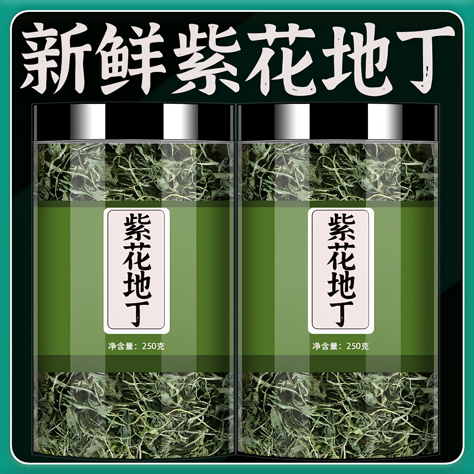 紫花地丁中药材500g克罐装新鲜干货地丁茶犁头草中草药野生泡水喝