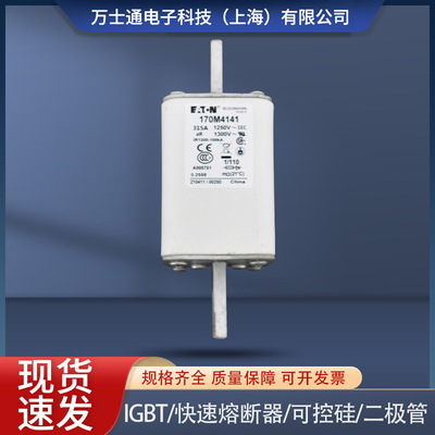 熔断器170M4138/4139/4140/4141/4142/414/4144/4145/4146/4147