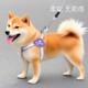 狗狗牵引绳彩虹趣味Y型遛狗外出防挣脱胸背带中大型犬宠物牵引绳