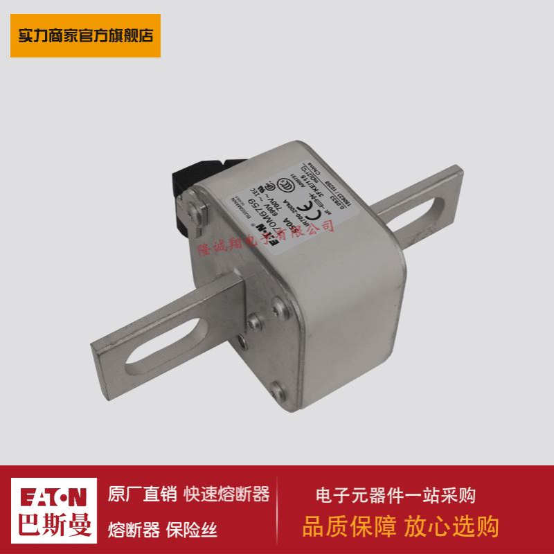 熔断器170M6734 170M6752 170M6755 170M6782 170M6793 170M6802
