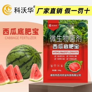 科沃华西瓜底肥宝西瓜黄瓜甜瓜麒麟西瓜瓜果营养用