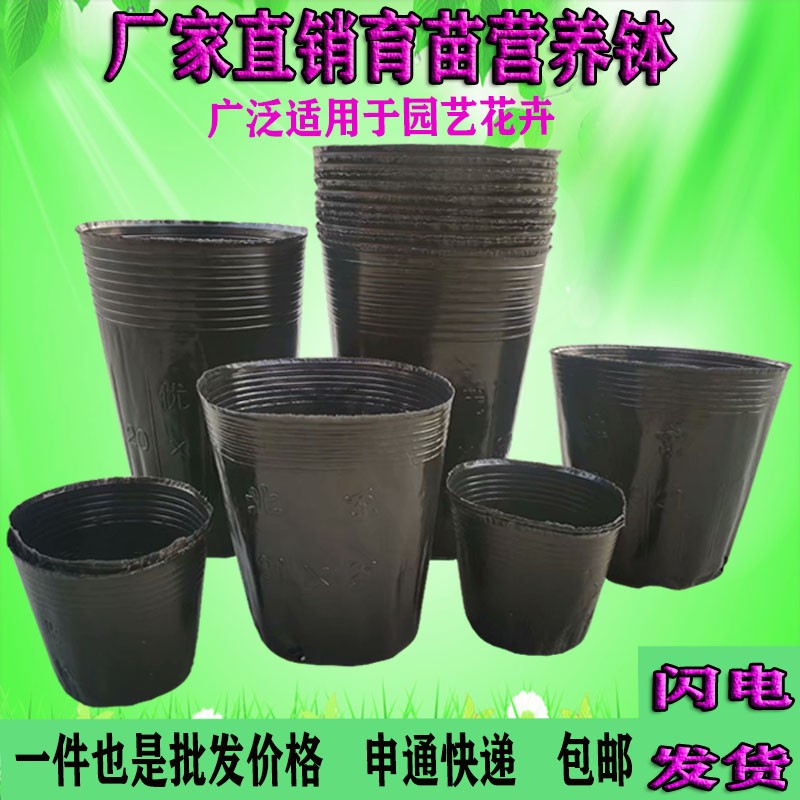 加厚营养钵树苗营养杯育苗杯一次性花盆黑色软塑料育苗盆育苗袋小