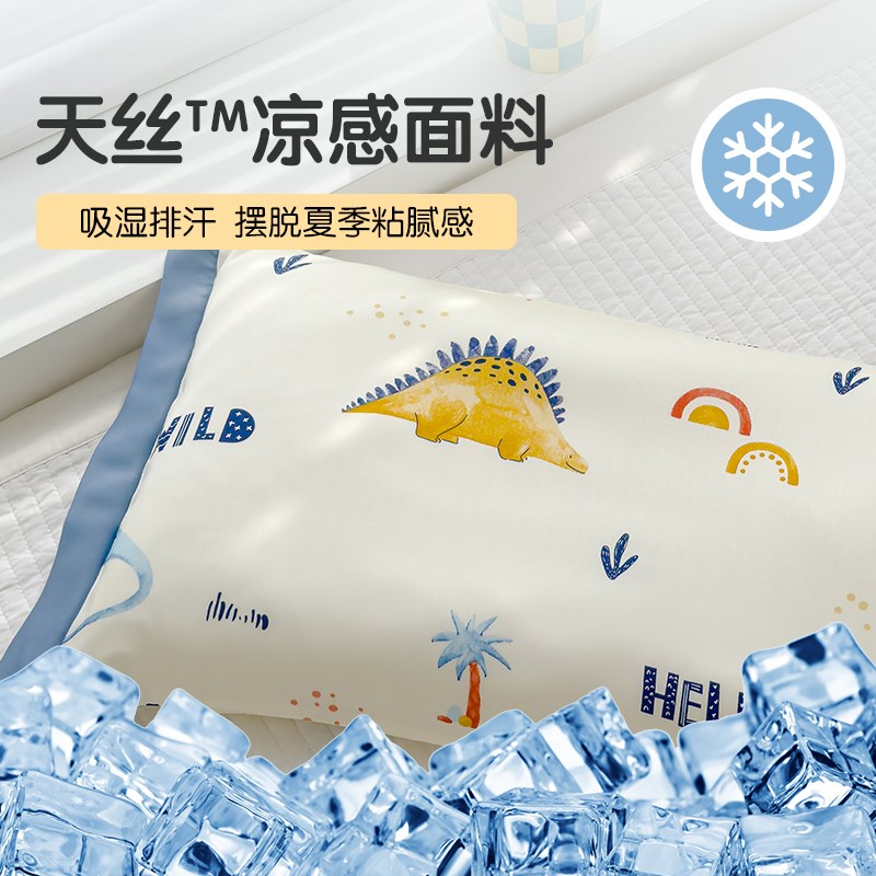 60支天丝枕套家用2025新款真丝枕头套凉感冰丝夏季儿童枕芯内胆套