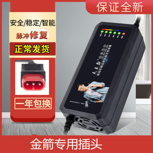 金箭电动车电瓶充电器48V12AH60V20AH72V30原装新国标插头专用
