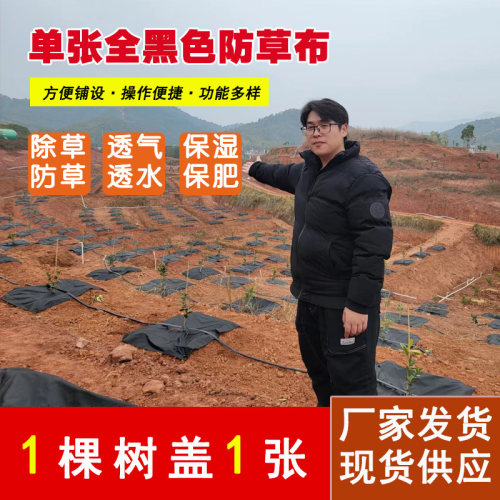 防草布除草布农用果园抗老化果树防草布耐用透气保湿地膜厂家直销