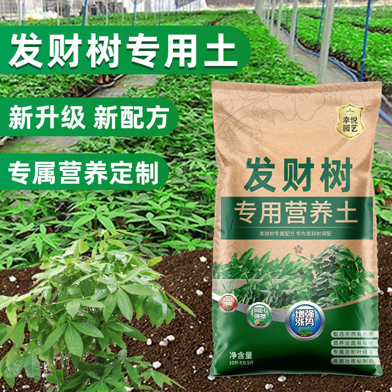 种养发财树专用土营养土花土盆栽土壤发财树肥料专用肥泥土种植土
