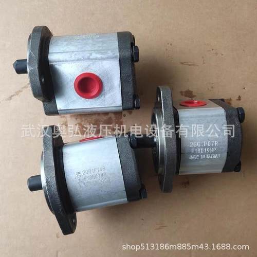 05OQQ17725329玛奇高压齿轮液泵系外齿合液压泵，维修压统祖，比