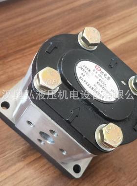 C改BN-F304-ALP新款淮安齿轮装油厂XQN车专业齿泵轮泵，维修液压