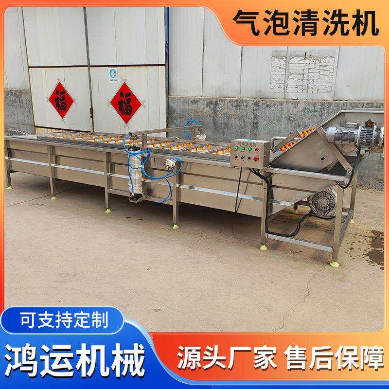 梅干菜荷兰豆气泡清洗机 果蔬预加工设备气泡喷淋清洗机流水线