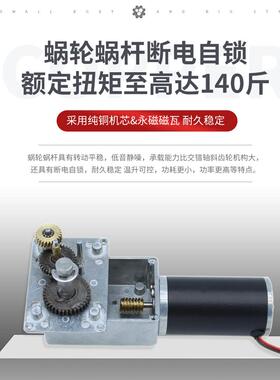 蜗轮蜗杆齿轮减速电机12V58全金属ZY微型马达4031扭力24V大直流