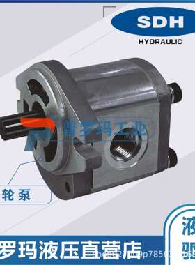 SDH齿轮泵液压泵油泵CBD2-F201.3 CBD2-F202.7 CBD2-F204.1现货
