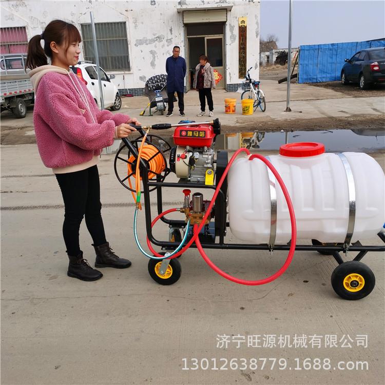 手推汽油打药机远射程拉管打药机果树行杀虫高压喷雾器