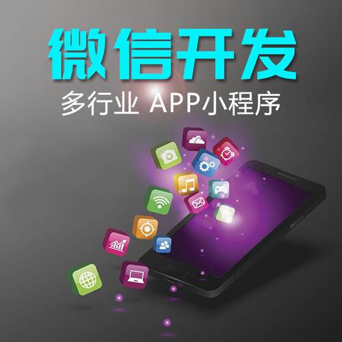app商城app开发app外包小程序开发小程序小程序外包