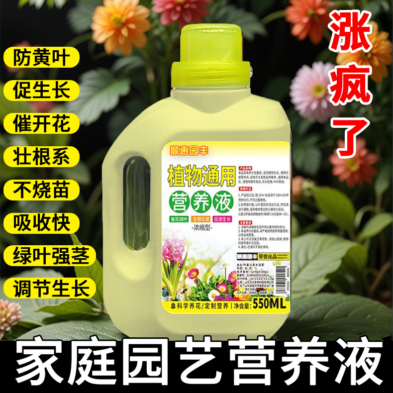 室内盆栽水培养花卉绿植物营养液