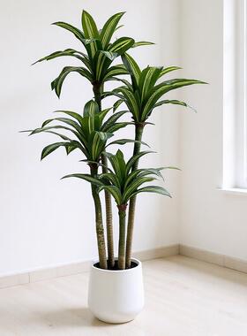 热销款仿真花绿植巴西铁人造富贵叶室内装饰摆件巴西木