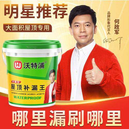 沃特浦外墙水泥基防水补漏胶涂料屋顶房屋漏水材料聚氨酯2kg