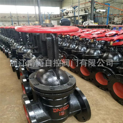 Z41W-10 DN1000 明杆铸铁硬密封闸