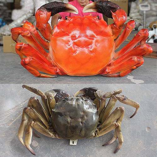 发光螃蟹摆件玻璃钢仿真大闸蟹模型招牌小龙虾门头装饰帝王蟹雕塑