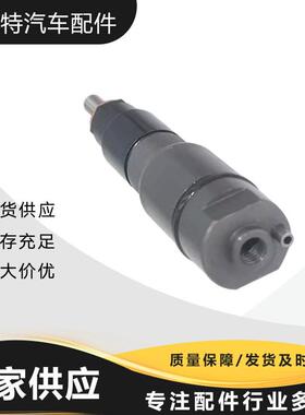 0432191269喷油器A0060175721适用奔驰系列柴油共轨喷油器