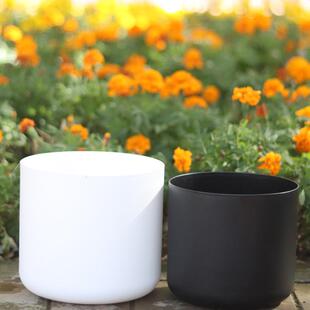 加仑盆加厚绿萝简约兰花直筒盆种植绿植圆形塑料树脂花盆家用养花