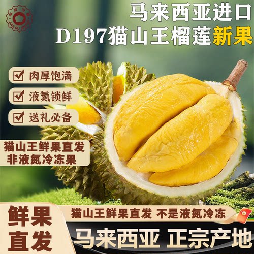 【猫山王鲜果】马来西亚进口新鲜猫山王榴莲D197带壳整果顺丰空运