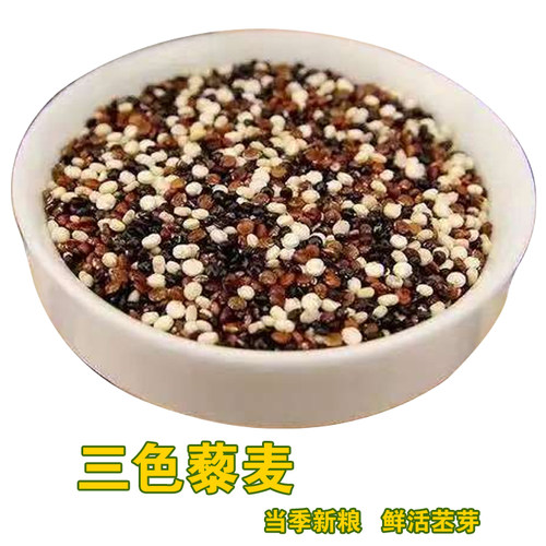 正宗三色藜麦米红黑白杂粮代餐