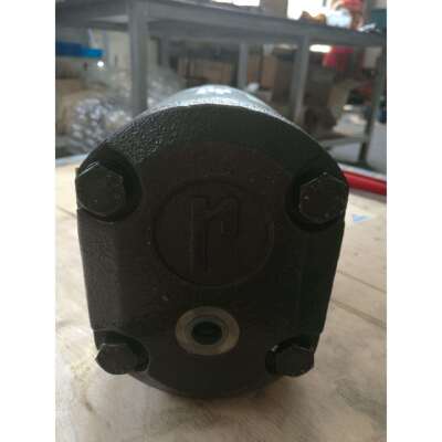 意大利RONZIO罗茨02ZCG20S435AD（排量20）全系齿轮泵 液压马达