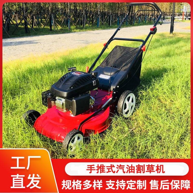 20寸手推式割草机 大马力6hp轮式草坪修剪割草机 手推自走除草机
