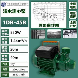 凌霄清水泵家用自吸泵流量自来水自动增压泵抽水泵离心泵水井