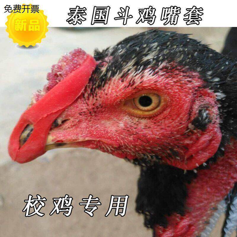 斗鸡嘴套 泰国硅胶嘴套 斗鸡护具 脚套嘴套训练用品