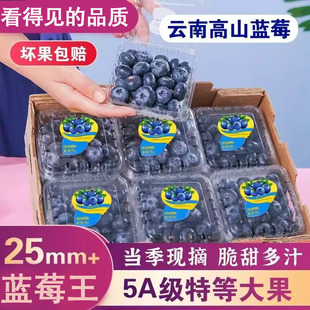 云南高山花香蓝莓头茬鲜果L25特大果怡佳颗沃应当季 水果整箱京东
