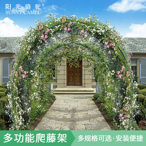 植物爬藤b架暖房钢管花架葡萄架大棚骨架百香果支架庭院园艺攀爬