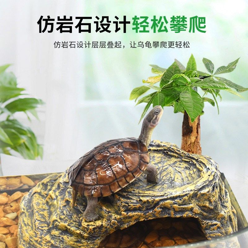 龟爬台乌龟晒台躲避屋养小乌龟专用缸晒I背台栖息台晒龟台休息平,宠物/宠物食品及用品,爬宠缸/箱,淘宝优惠券,粉丝福利购,淘宝优惠卷