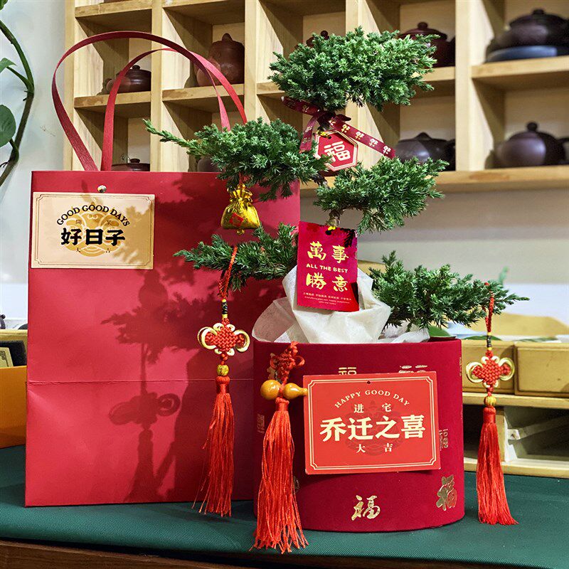 五层塔松盆景退休礼物乔迁新居盆栽升F职绿植开业礼品生日植物易