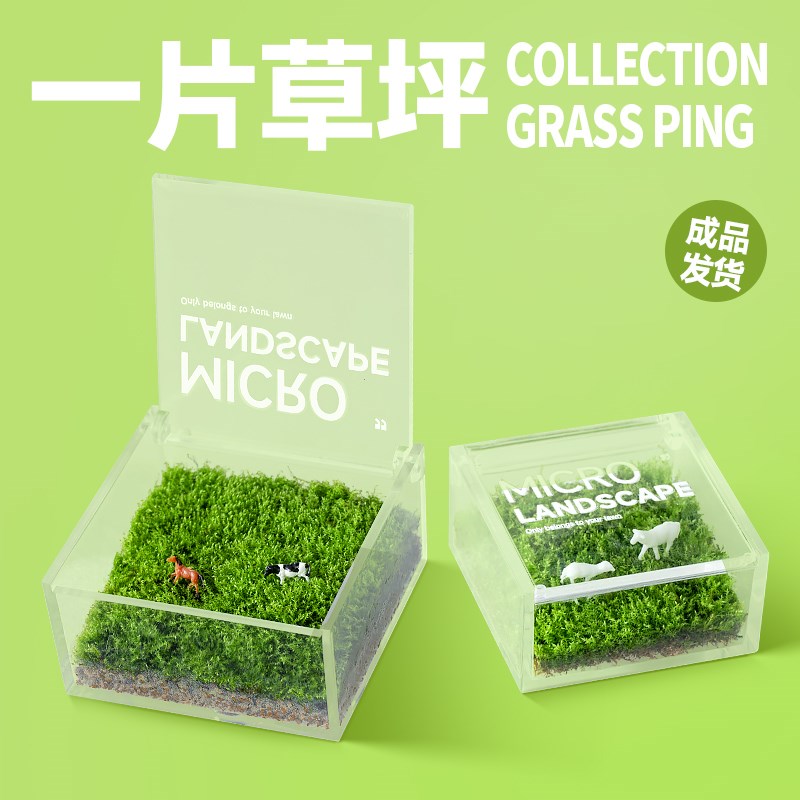 一片草坪苔藓微景观桌面懒人绿z植生态盒造景四季好养趣味鲜活植