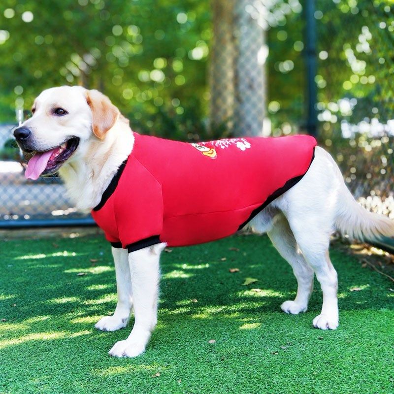 狗狗衣服秋冬加绒金毛萨摩拉布拉多柴犬泰边O牧迪中大型犬宠物用,宠物/宠物食品及用品,猫宠物服装/雨衣（新）,淘宝优惠券,粉丝福利购,淘宝优惠卷