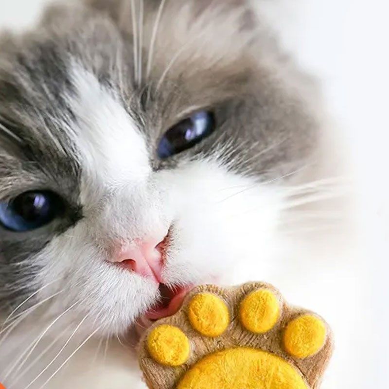 冻干猫咪零食增猫爪生o骨肉饼肥发猫草鸡肉腮补蛋黄钙三文鱼猫零,宠物/宠物食品及用品,猫冻干零食,淘宝优惠券,粉丝福利购,淘宝优惠卷