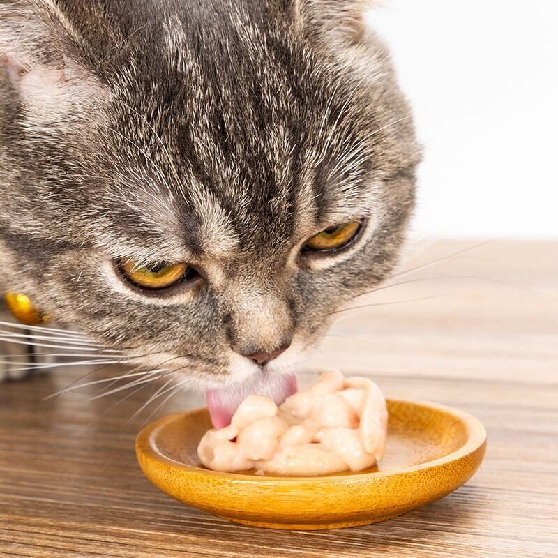 帅克猫条100支营养增肥鸡肉三文鱼猫零食L湿粮罐头整箱零食猫鲜条