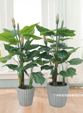 北欧人造仿真植物老虎芋 室内家居装饰摆件绿植落地盆景假花