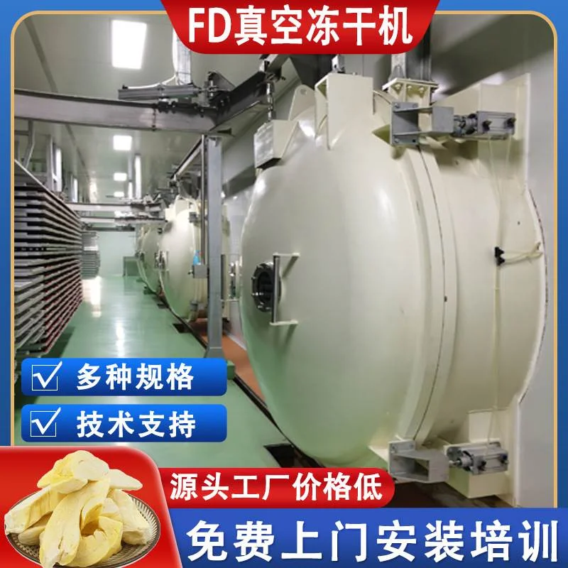 商用药用石斛100平冻干机 宠物食品真空冷冻干燥机 实验冻干设备