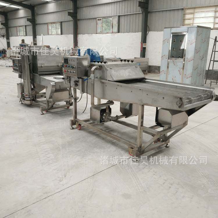 小型小酥肉上浆机裹粉机生产线全自动鱿鱼鸡块专用裹浆设备商用,鲜花速递/花卉仿真/绿植园艺,花艺材料,淘宝优惠券,粉丝福利购,淘宝优惠卷