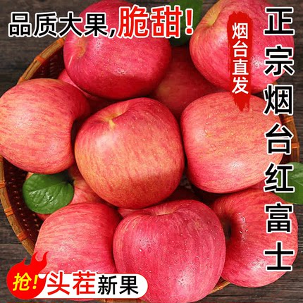 【栖霞苹果】产地直发正宗山东烟台红富士苹果冰糖心新鲜水果应当