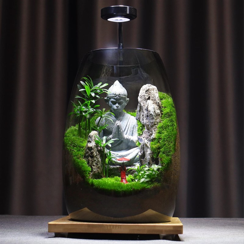 【大圣归来】创意桌面苔藓微景观成品盆景好养鲜活绿植生态缸摆件