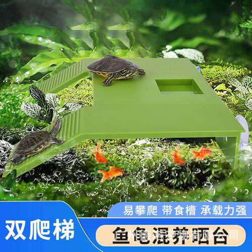 乌龟楼梯休息爬坡晒台龟缸爬台