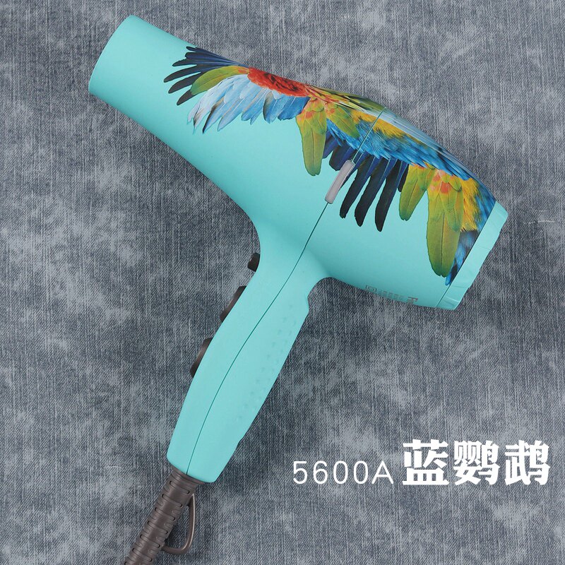 静音电吹风家用风筒火之凤吹风机5600a 正品发廊理发店发型师专用