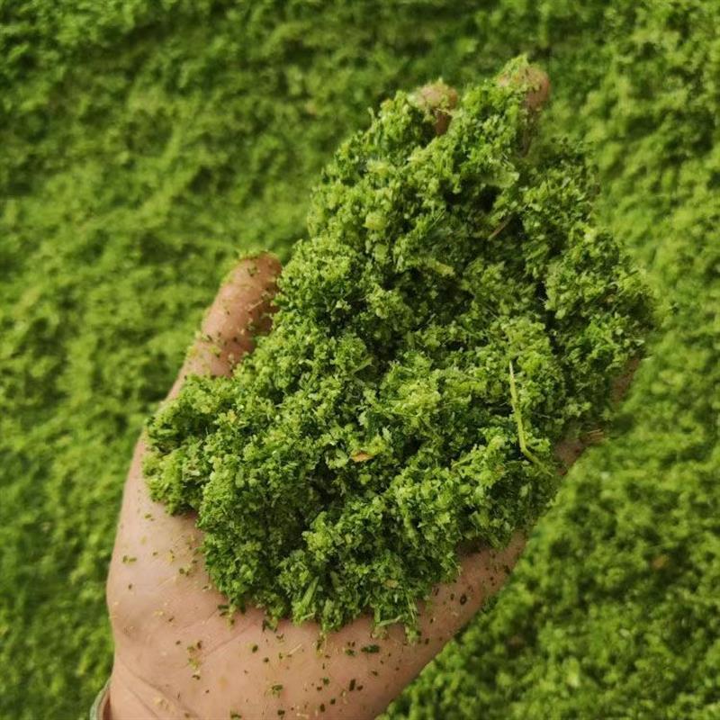超细牧草打浆机粉碎机铡草机超细粉家用秸秆皇竹甜象打浆机养殖